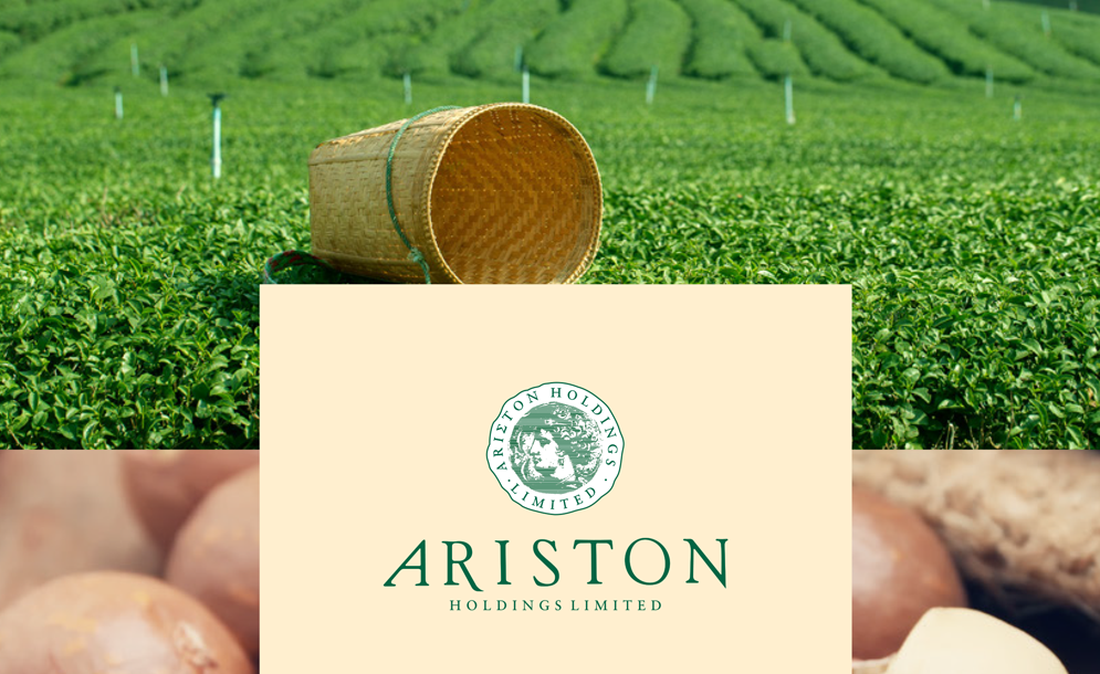 Exchange rate crisis hits Ariston