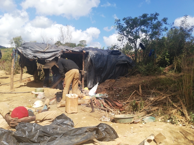 In Zimbabwe, Economic Crisis Pushes Underaged Girls to Sex Work