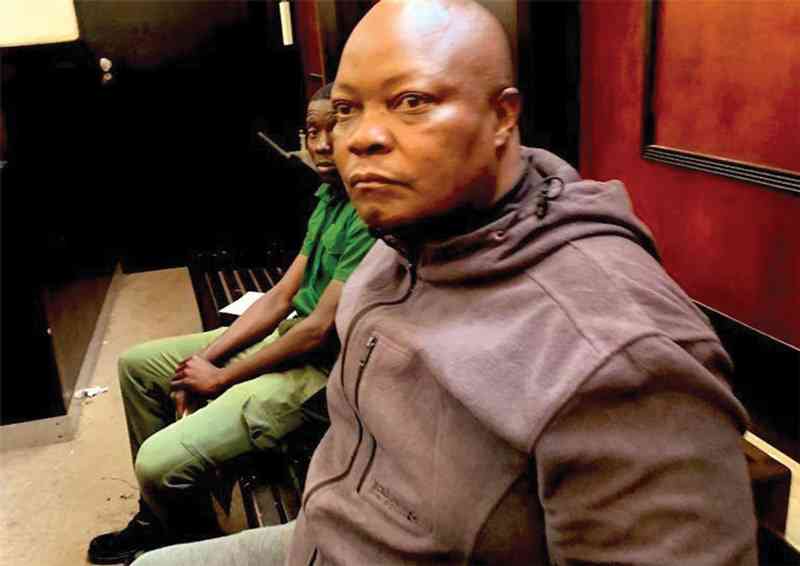 Herald says Mahere lied on the state of Human Rights in Zimbabwe